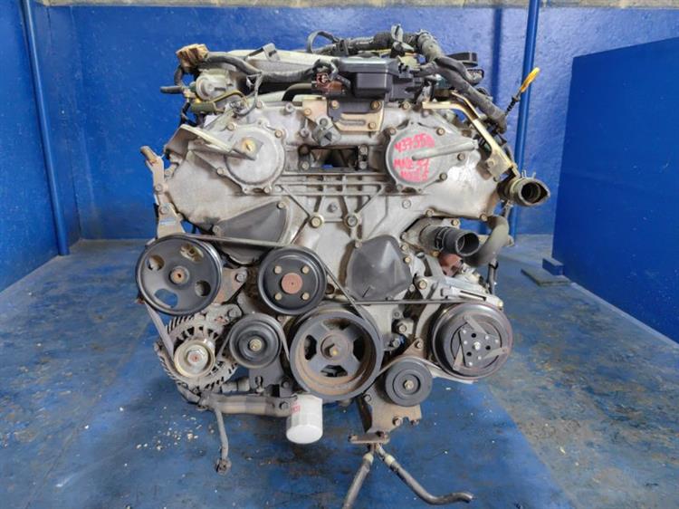 Двигатель Ниссан Эльгранд в Усолье-Сибирском 437558
