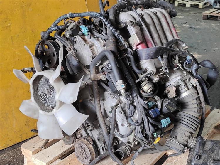 Двигатель Ниссан Эльгранд в Усолье-Сибирском 51254