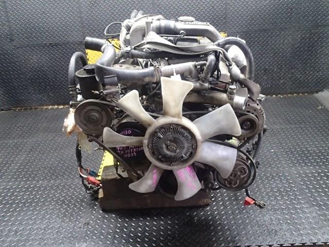 Двигатель Ниссан Сафари в Усолье-Сибирском 95493